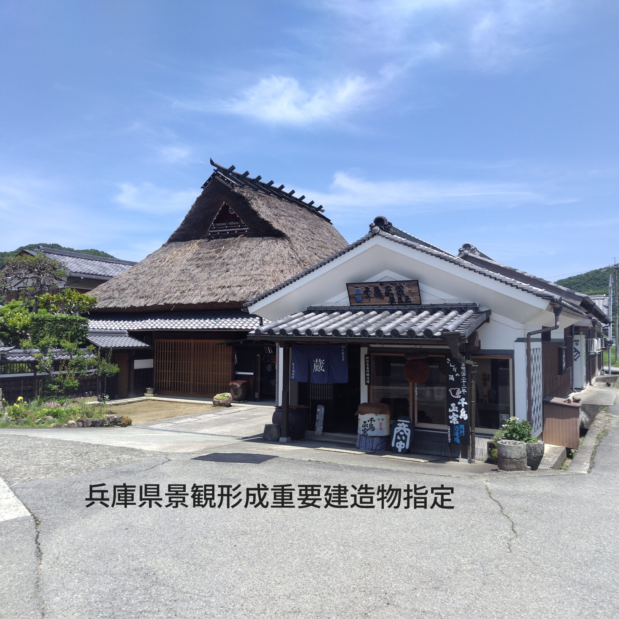 赤米（古代米）収穫・稲木かけ体験＆酒米の違いを食す！