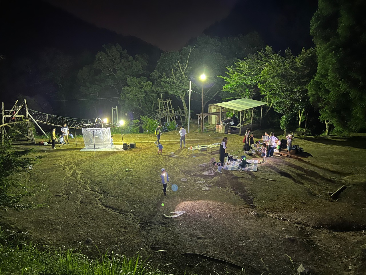 夜の里山の昆虫を観察しよう！